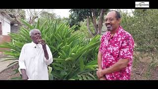 2026-02-12T13:40:15.795Z